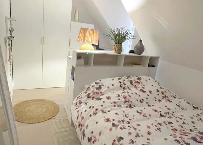 Vakantiehuis Alsacien Cocoon - Center - Terrace Obernai