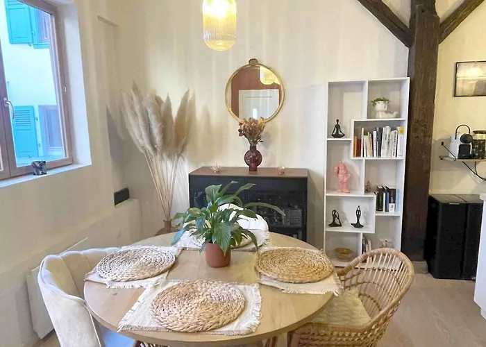 Alsacien Cocoon - Center - Terrace * Obernai